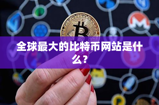全球最大的比特币网站是什么？