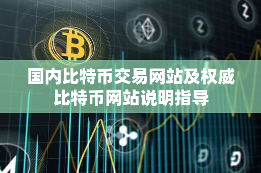 国内比特币交易网站及权威比特币网站说明指导 国内比特币交易网站及权威比特币网站说明指导