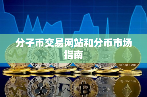 分子币交易网站和分币市场指南