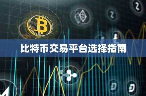 比特币交易平台选择指南