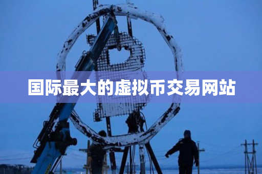 国际最大的虚拟币交易网站 国际最大的虚拟币交易网站