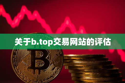 关于b.top交易网站的评估 关于b.top交易网站的评估