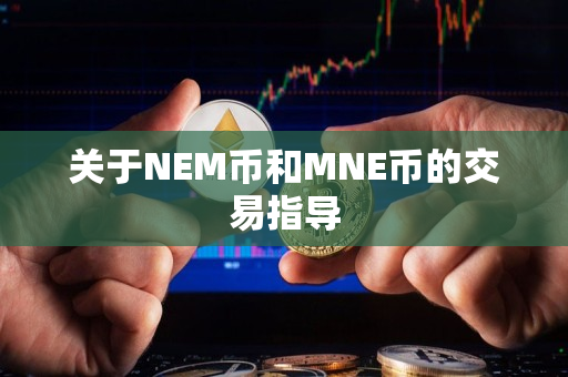 关于NEM币和MNE币的交易指导