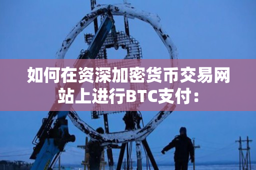 如何在资深加密货币交易网站上进行BTC支付：