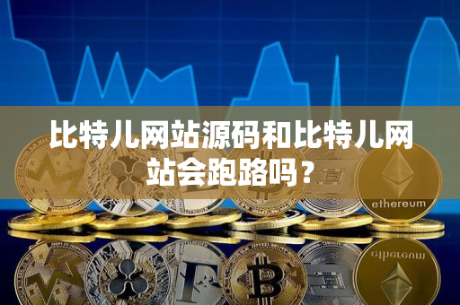 比特儿网站源码和比特儿网站会跑路吗？