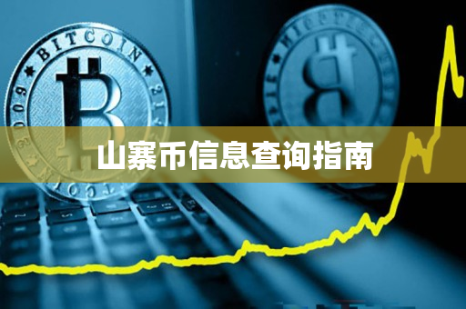 山寨币信息查询指南