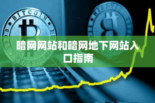 暗网网站和暗网地下网站入口指南 暗网网站和暗网地下网站入口指南