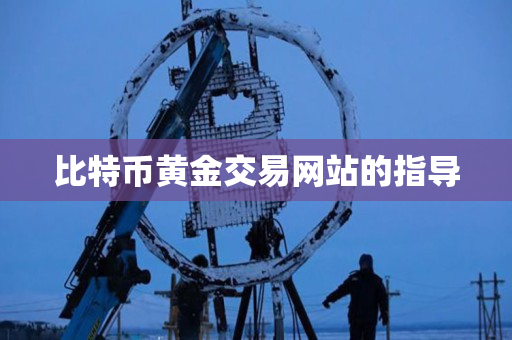 比特币黄金交易网站的指导