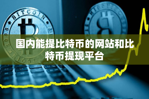 国内能提比特币的网站和比特币提现平台