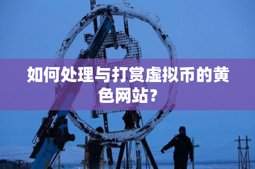 如何处理与打赏虚拟币的黄色网站？