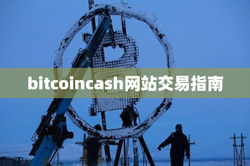 bitcoincash网站交易指南