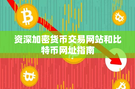 资深加密货币交易网站和比特币网址指南 资深加密货币交易网站和比特币网址指南