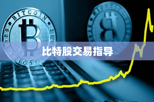 比特股交易指导 比特股交易指导