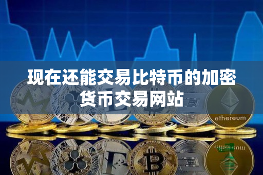 现在还能交易比特币的加密货币交易网站 现在还能交易比特币的加密货币交易网站