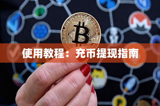 使用教程:充币提现指南 使用教程:充币提现指南