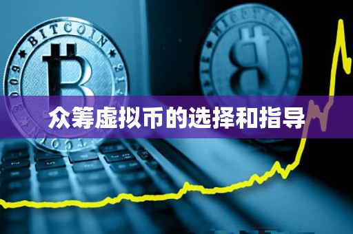 众筹虚拟币的选择和指导 众筹虚拟币的选择和指导