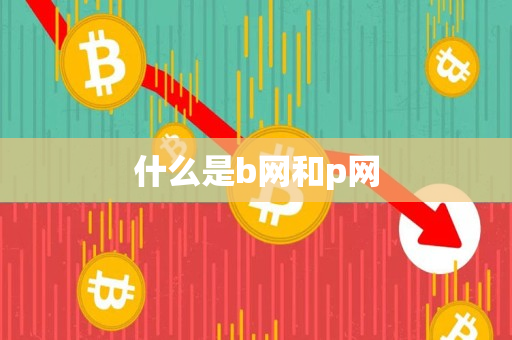 什么是b网和p网 什么是b网和p网