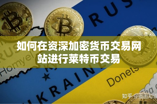 如何在资深加密货币交易网站进行莱特币交易 如何在资深加密货币交易网站进行莱特币交易