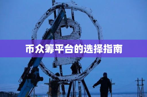 币众筹平台的选择指南 币众筹平台的选择指南