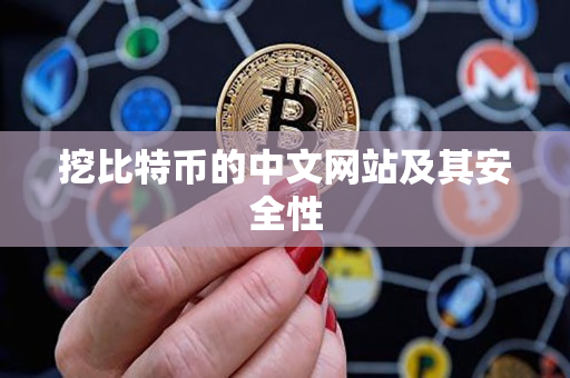 挖比特币的中文网站及其安全性