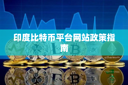 印度比特币平台网站政策指南