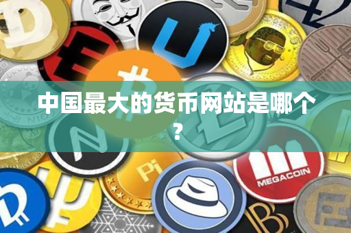 中国最大的货币网站是哪个？