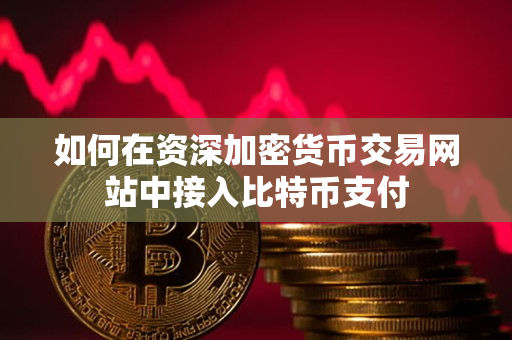 如何在资深加密货币交易网站中接入比特币支付 如何在资深加密货币交易网站中接入比特币支付