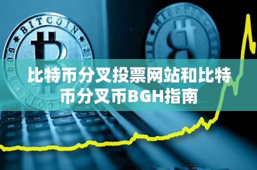 比特币分叉投票网站和比特币分叉币BGH指南 比特币分叉投票网站和比特币分叉币BGH指南