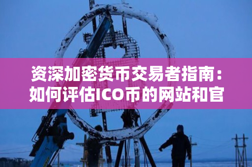 资深加密货币交易者指南：如何评估ICO币的网站和官网