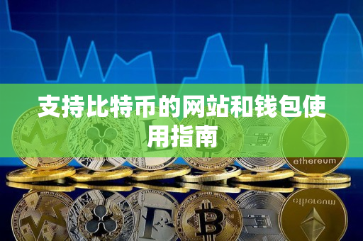 支持比特币的网站和钱包使用指南 支持比特币的网站和钱包使用指南