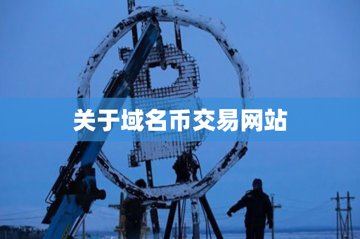关于域名币交易网站 关于域名币交易网站