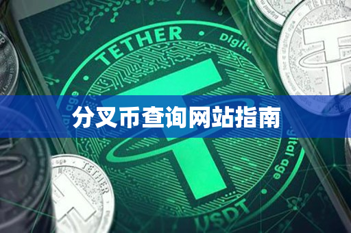 分叉币查询网站指南 分叉币查询网站指南