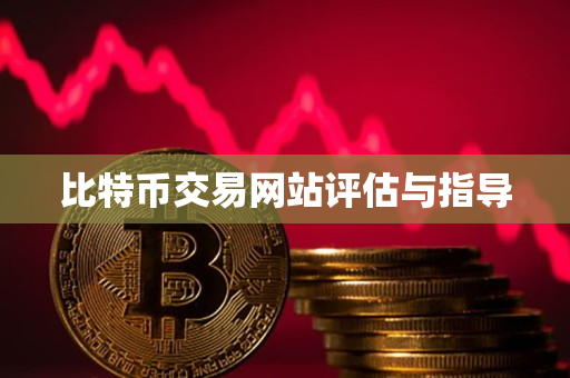 比特币交易网站评估与指导