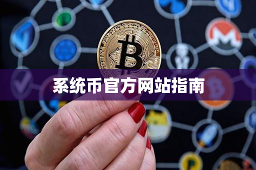 系统币官方网站指南