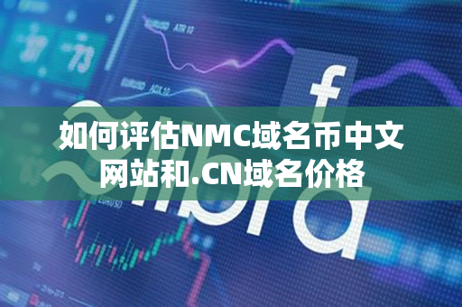 如何评估NMC域名币中文网站和#域名价格