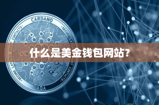 什么是美金钱包网站? 什么是美金钱包网站?