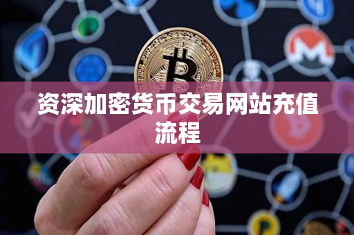 资深加密货币交易网站充值流程 资深加密货币交易网站充值流程