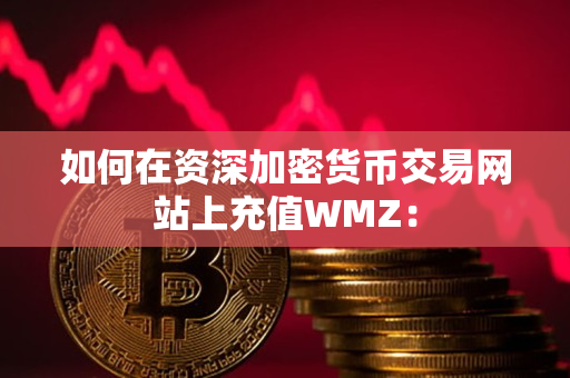 如何在资深加密货币交易网站上充值WMZ：