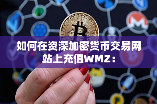 如何在资深加密货币交易网站上充值WMZ：