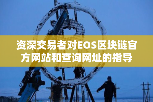 资深交易者对EOS区块链官方网站和查询网址的指导