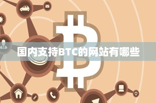 国内支持BTC的网站有哪些