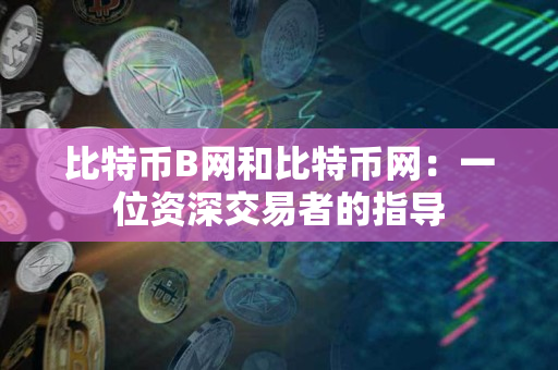 比特币B网和比特币网:一位资深交易者的指导 比特币B网和比特币网:一位资深交易者的指导