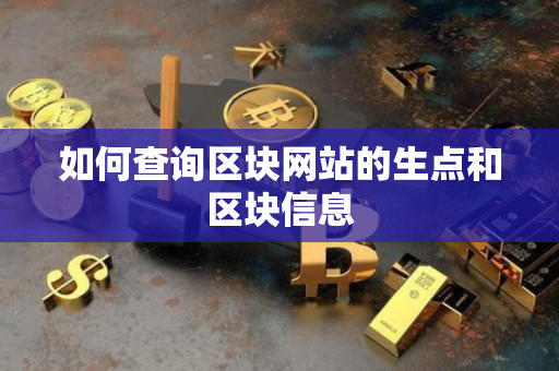 如何查询区块网站的生点和区块信息
