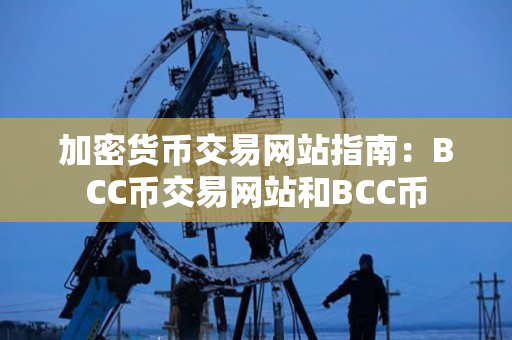 加密货币交易网站指南：BCC币交易网站和BCC币