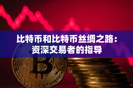 比特币和比特币丝绸之路:资深交易者的指导 比特币和比特币丝绸之路:资深交易者的指导
