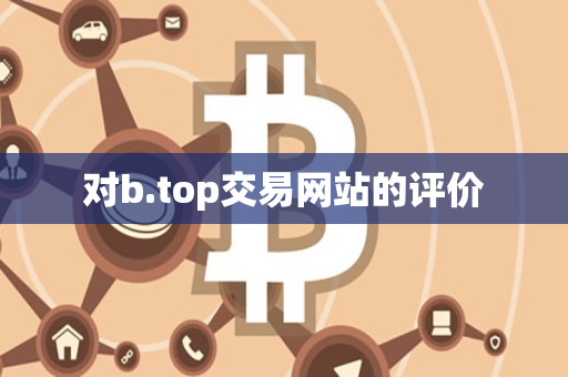 对b.top交易网站的评价 对b.top交易网站的评价