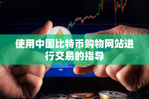 使用中国比特币购物网站进行交易的指导 使用中国比特币购物网站进行交易的指导