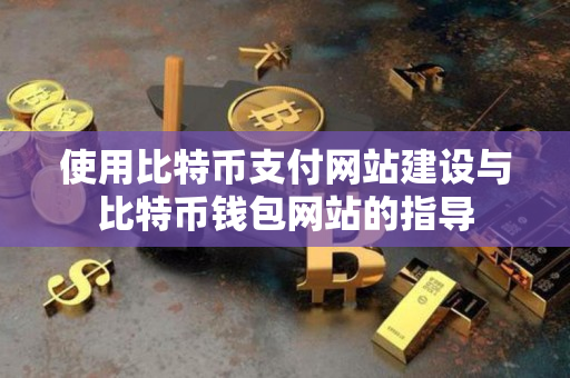 使用比特币支付网站建设与比特币钱包网站的指导 使用比特币支付网站建设与比特币钱包网站的指导