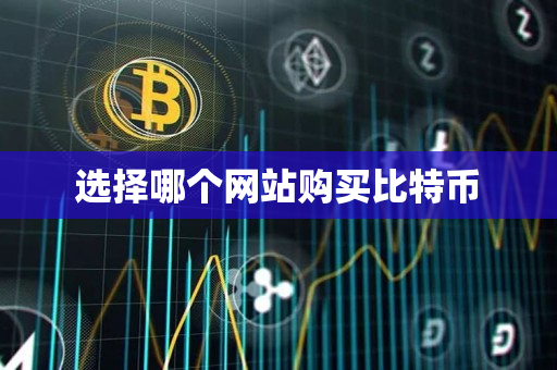选择哪个网站购买比特币