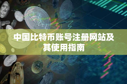 中国比特币账号注册网站及其使用指南